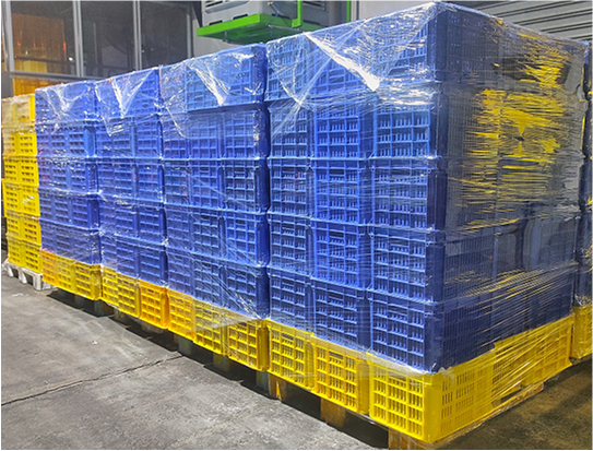 Poly Bags & Sheeting