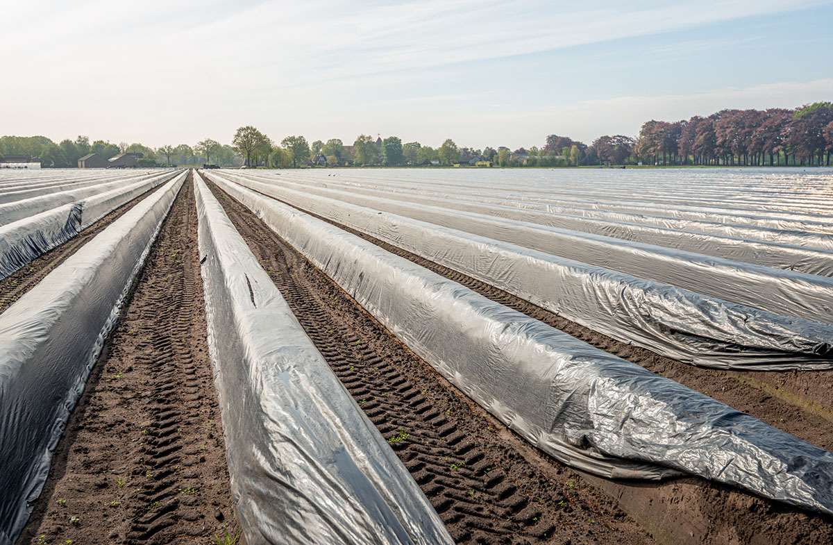 Agricultural Film