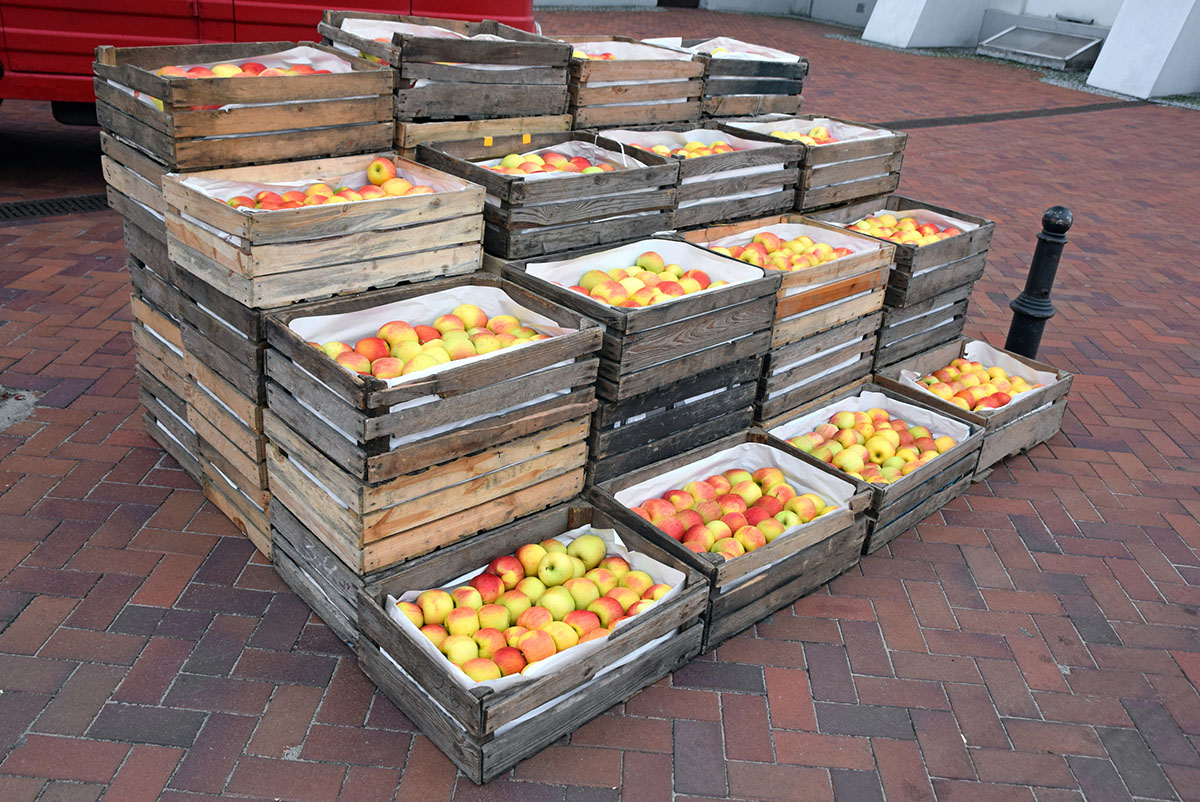 Box, Bin, & Drum Liners