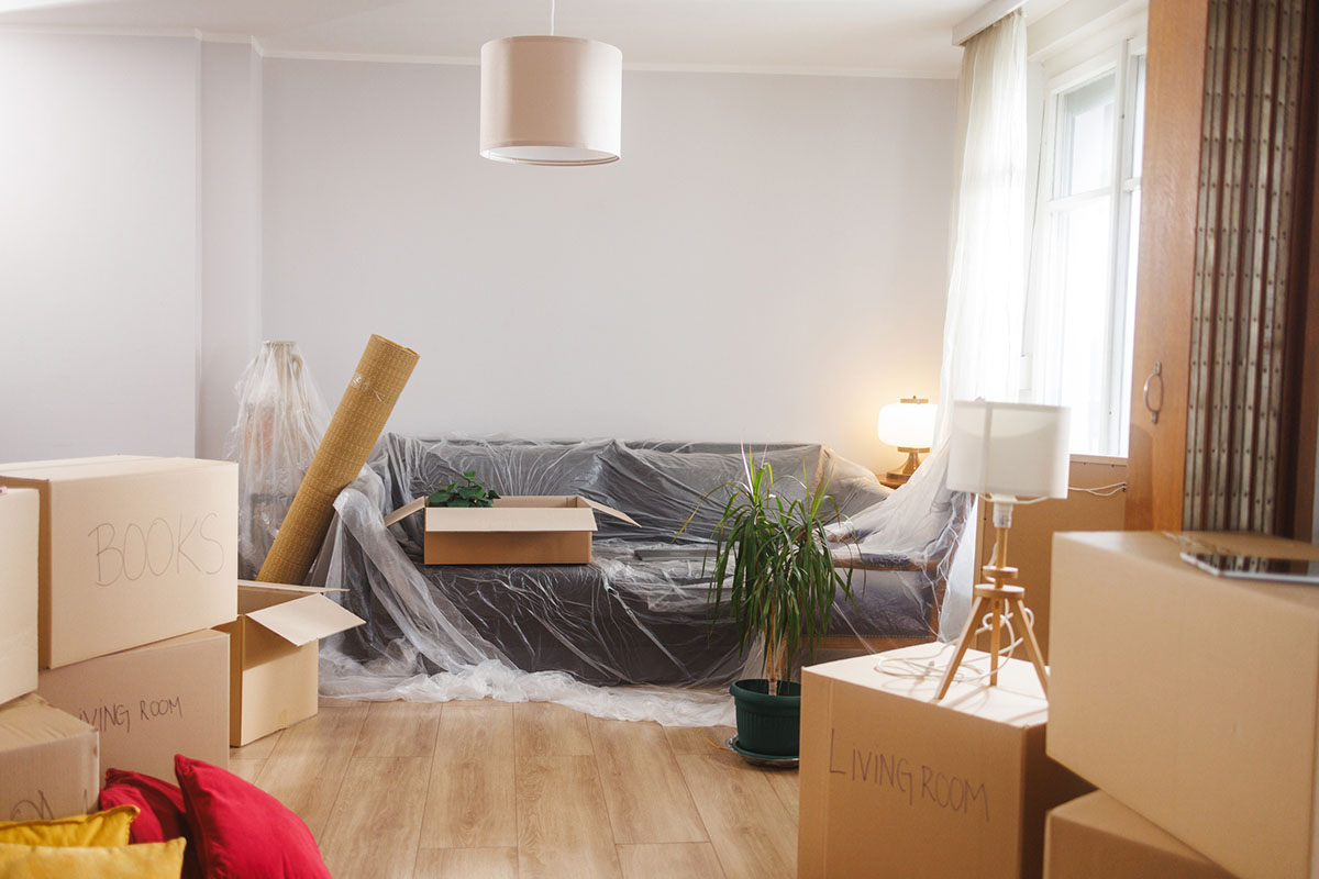 Furniture & Mattress Bags